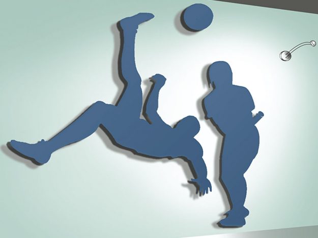 سازمان تربیت بدنی