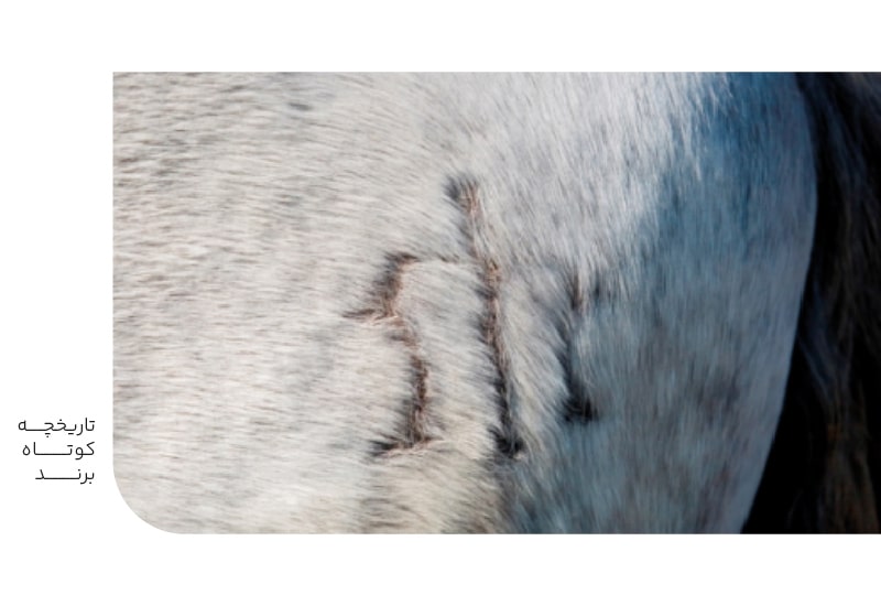 تاریخچه کوتاه برند-min تاریخچه کوتاه برند