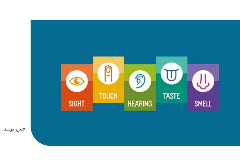 حس برند-min حس برند