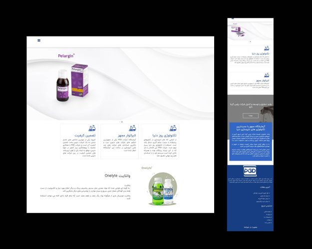 طراحی وب سایت پارس گیتادارو