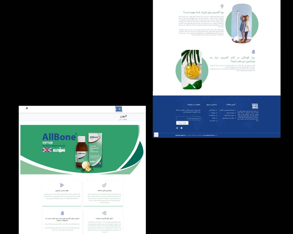 طراحی وب سایت پارس گیتادارو