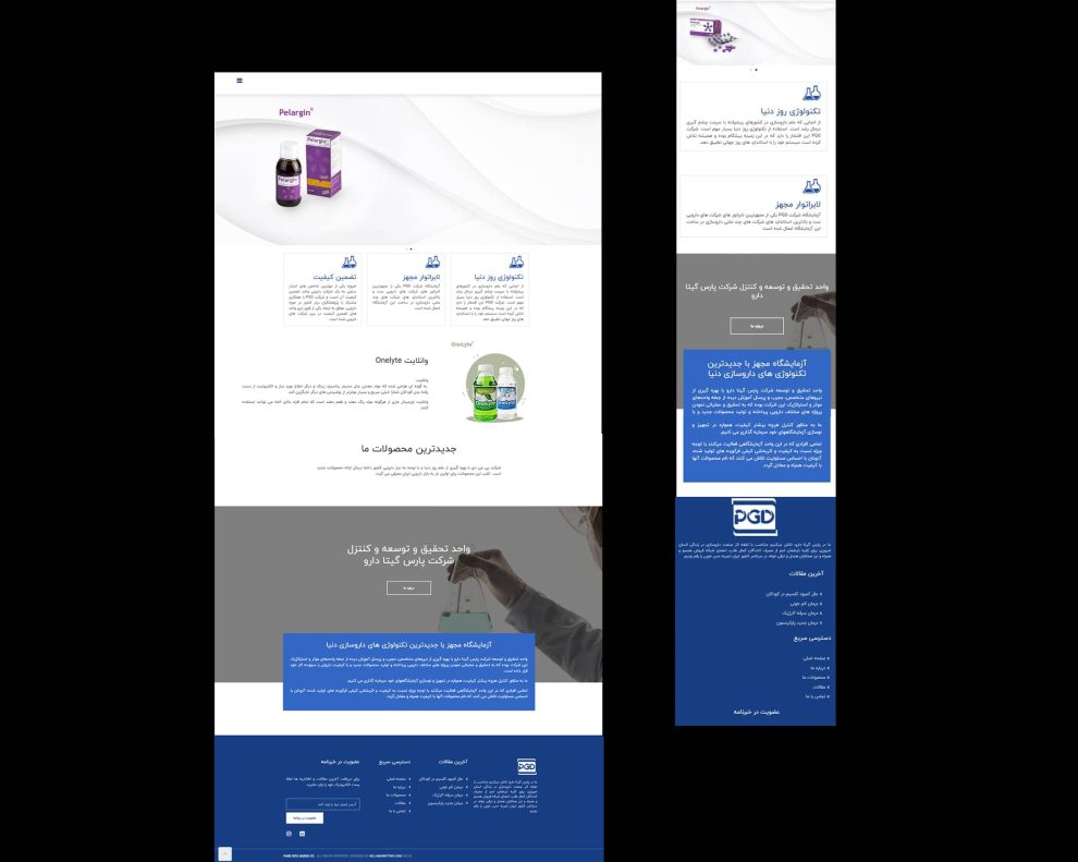 طراحی وب سایت پارس گیتادارو